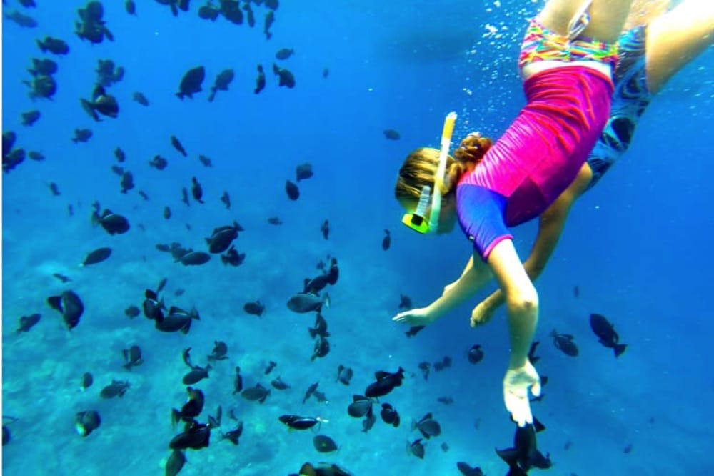 4 Hour Captain Cook Snorkel