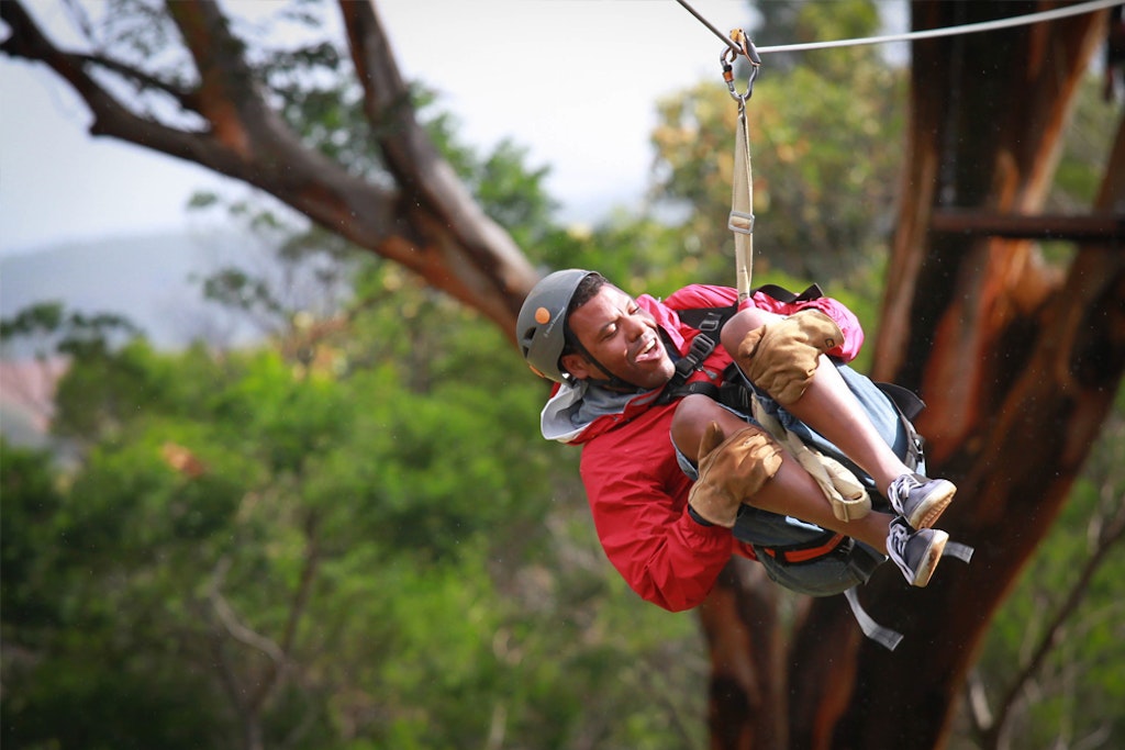 Zipline Canopy